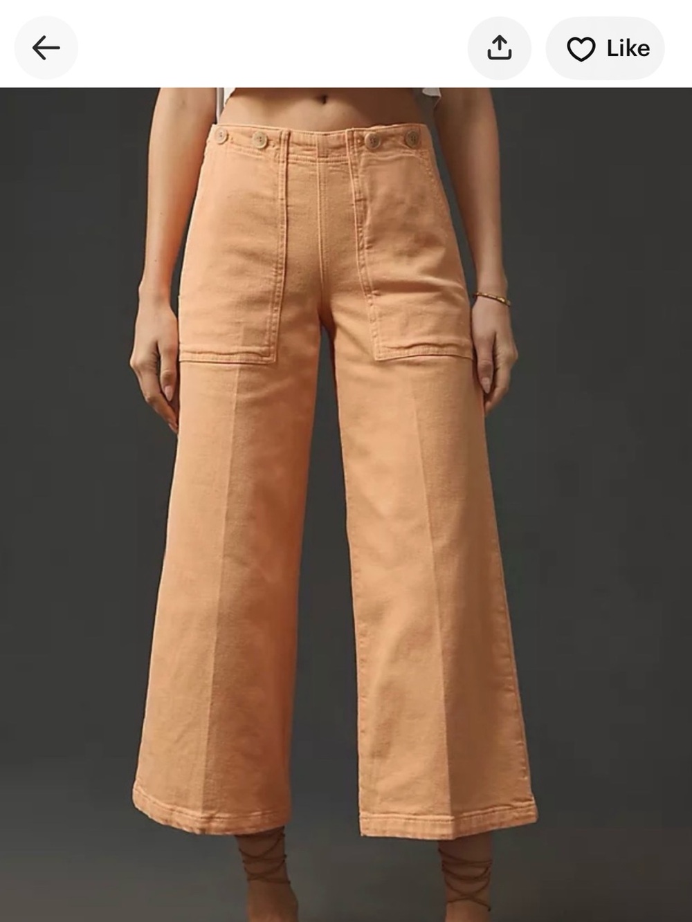 Anthropologie Pilcro The Kit High-Rise Wide-Leg Utility
Trouser Jeans Size 31